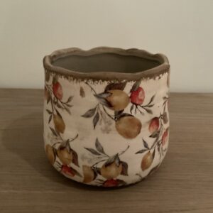 Bloempot met citroenen en appelsienen
