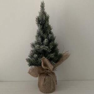 Besneeuwde kerstboom