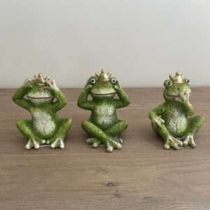 Kikkers set van 3