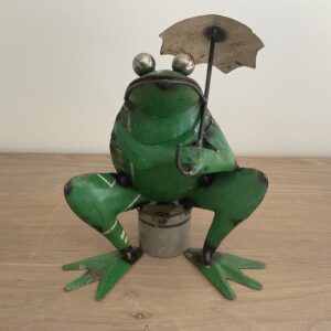 Kikker met paraplu
