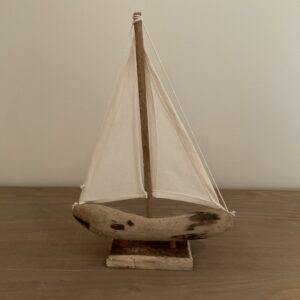 Zeilboot in drijfhout S