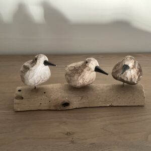 Vogels op houten stok