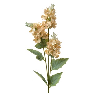Decoratie tak trompet hortensia