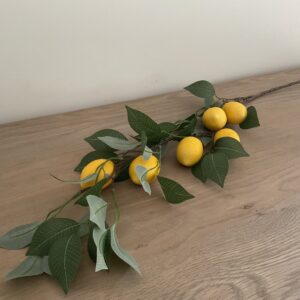 Citroenen tak