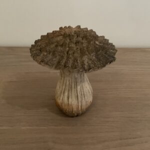 Paddenstoel M