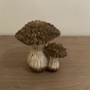 Dubbele paddestoel