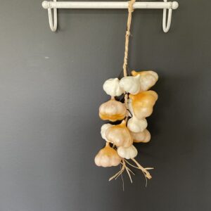 Streng knoflook