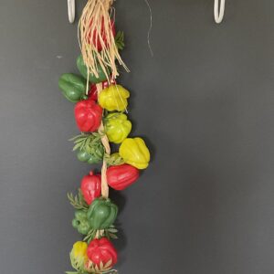 Streng mini paprika’s