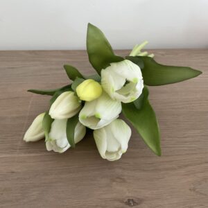 Boeket tulpen wit