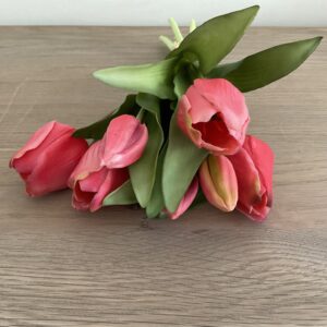 Tulpen roze lange steel