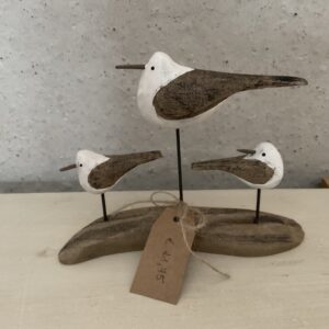 Vogels op houten stok