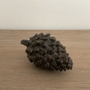 Dennenappel groot