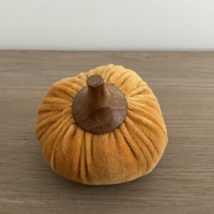 Pompoen in okergeel