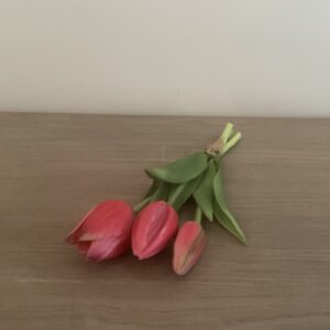 Tulpjes (3) in donkerroze