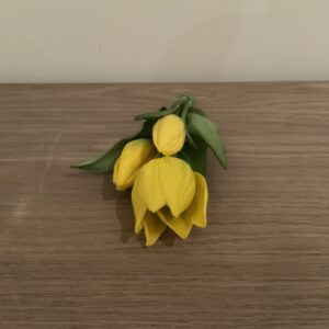 Tulpen boeketje geel