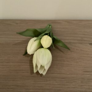 Tulpen boeketje wit