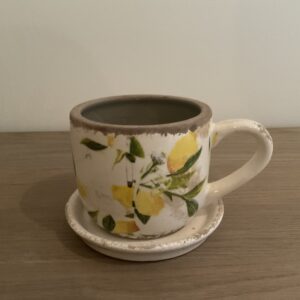 Tas met schaaltje citroen