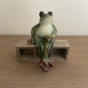 Kikker met gestrekte benen