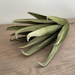 Bloem lange bladeren