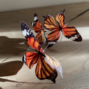 Tak met vlinders oranje