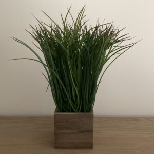 Siergras in houten bakje
