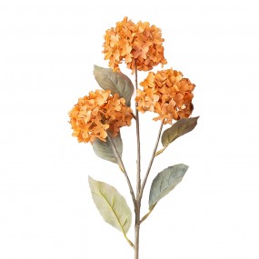 Tak met kleine hortensia’s