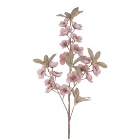 Bloesemtak roze