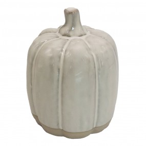 Decoratieve pompoen M