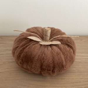 Pompoen bruin