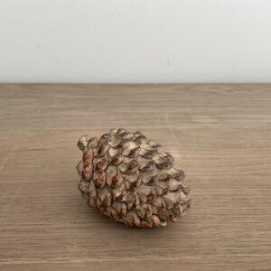Dennenappel S