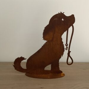 Hond met leiband