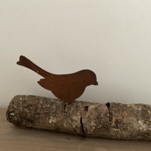 Vogeltje dik S