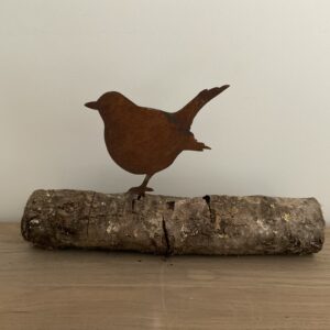 Vogeltje dik M