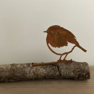 Vogeltje Merel