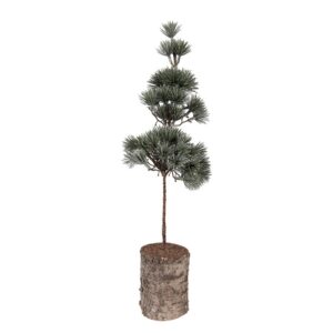 Kerstboom lohko L